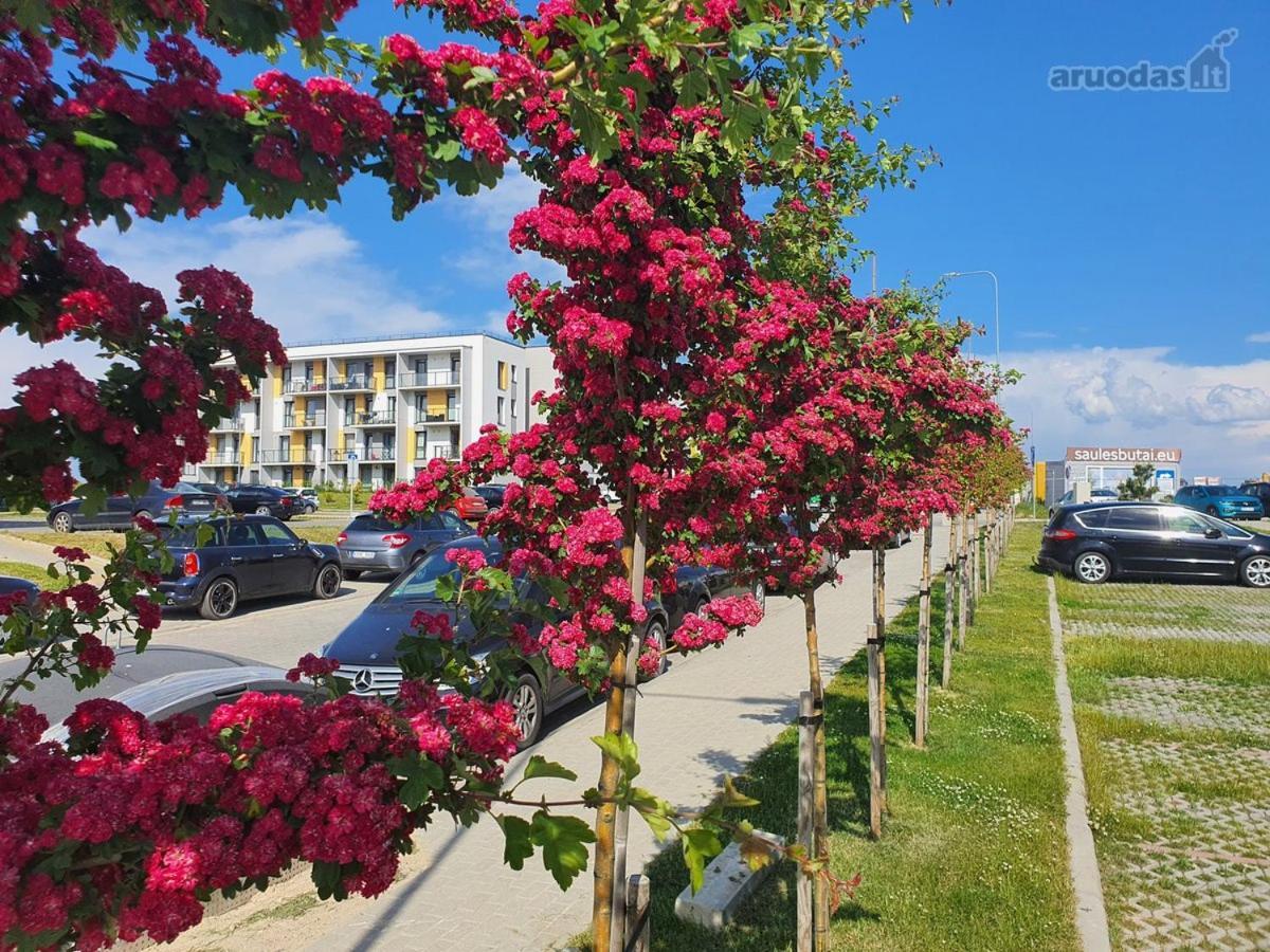New Studio Free Parking Klaipeda Ngoại thất bức ảnh